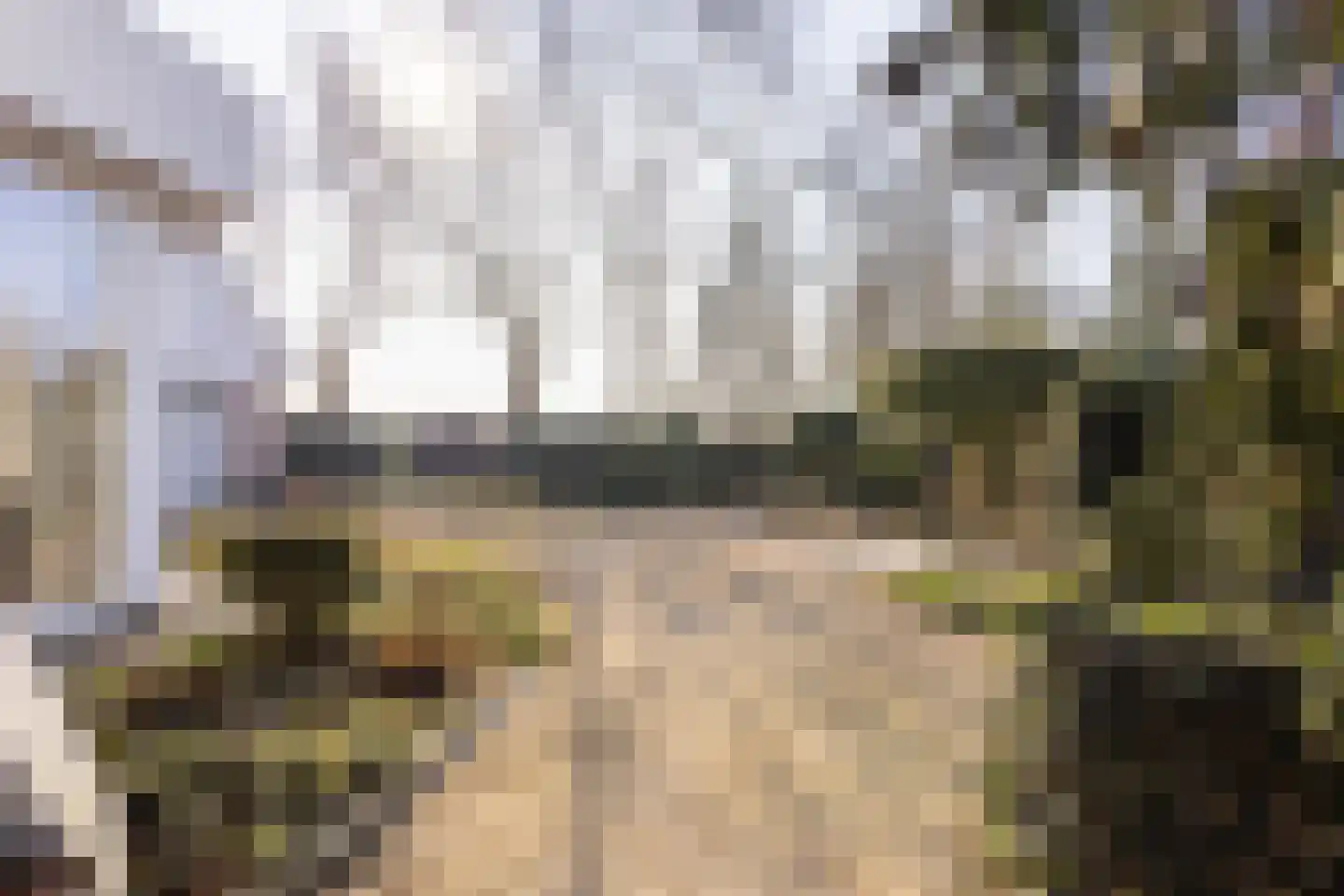 Griete 15 Zaamslag thumbnail 47