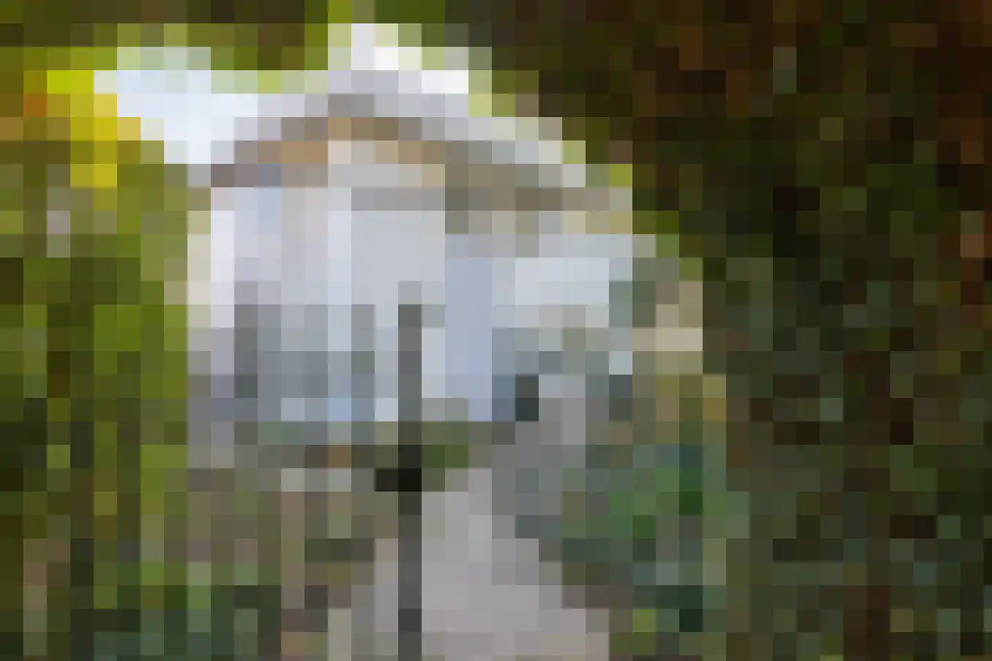 Griete 15 Zaamslag thumbnail 5