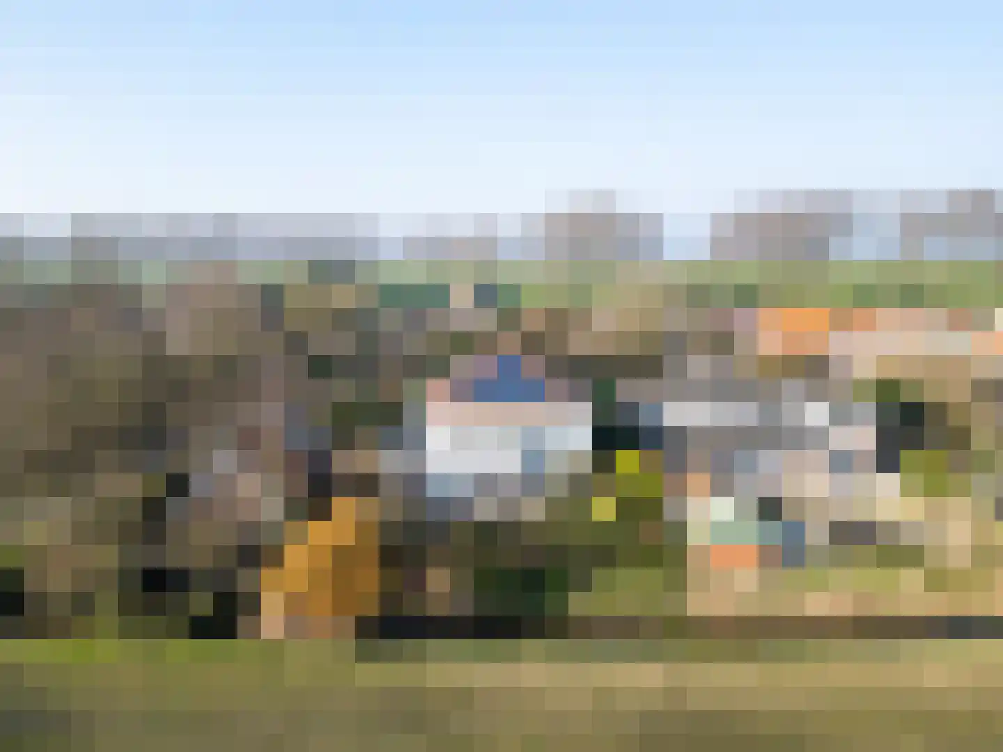 Griete 15 Zaamslag thumbnail 50