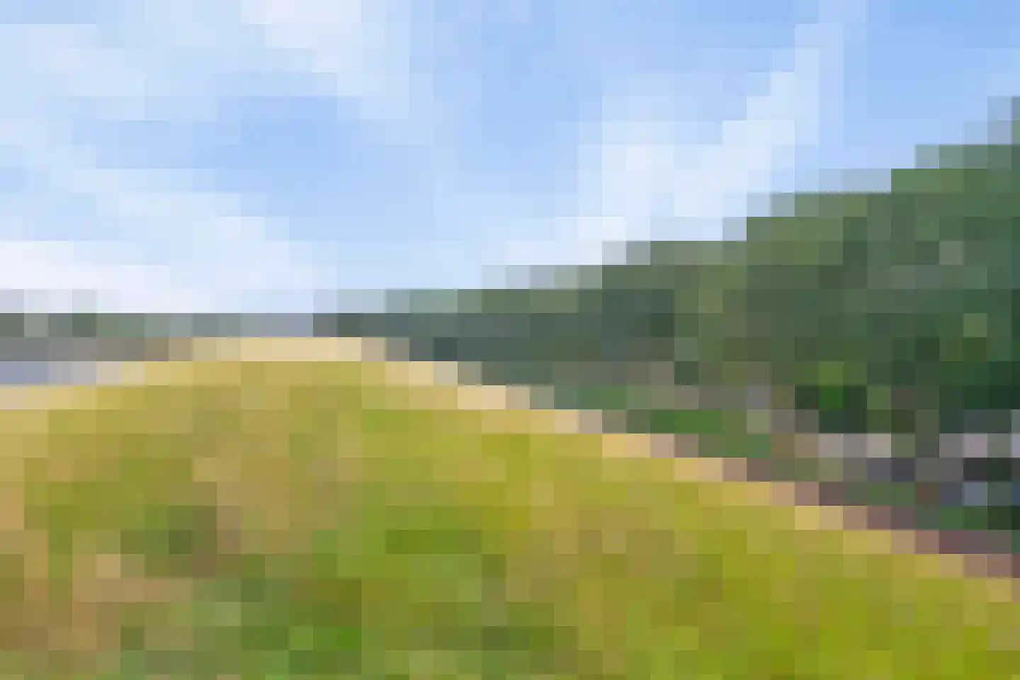 Griete 15 Zaamslag thumbnail 51