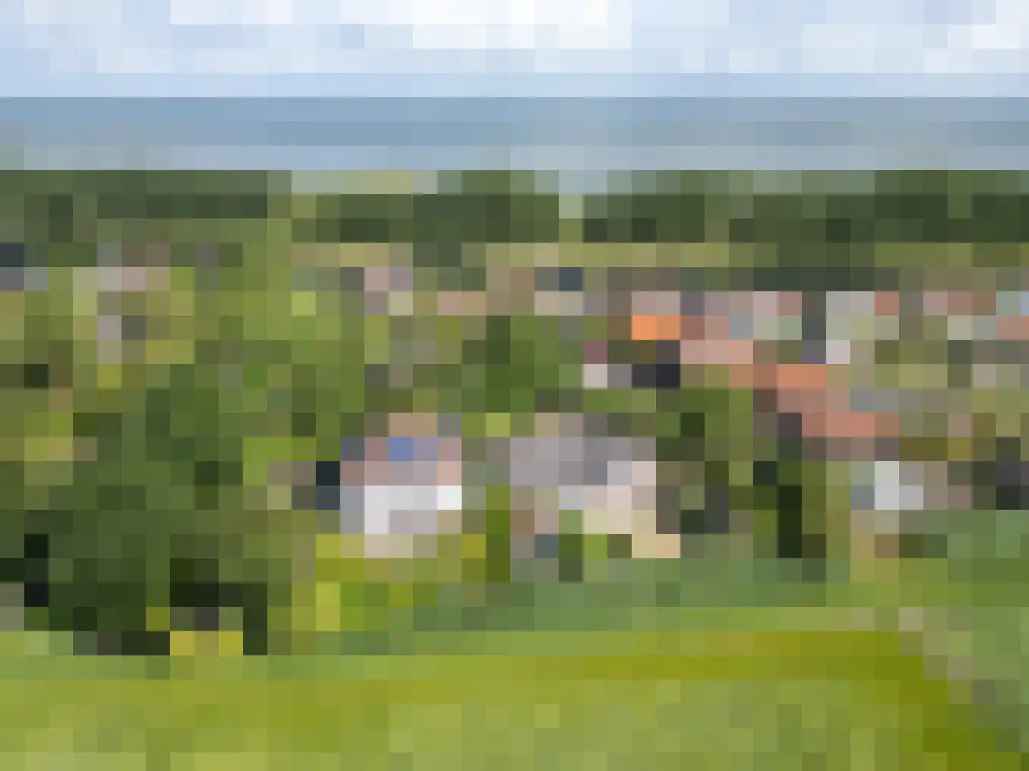Griete 15 Zaamslag thumbnail 51