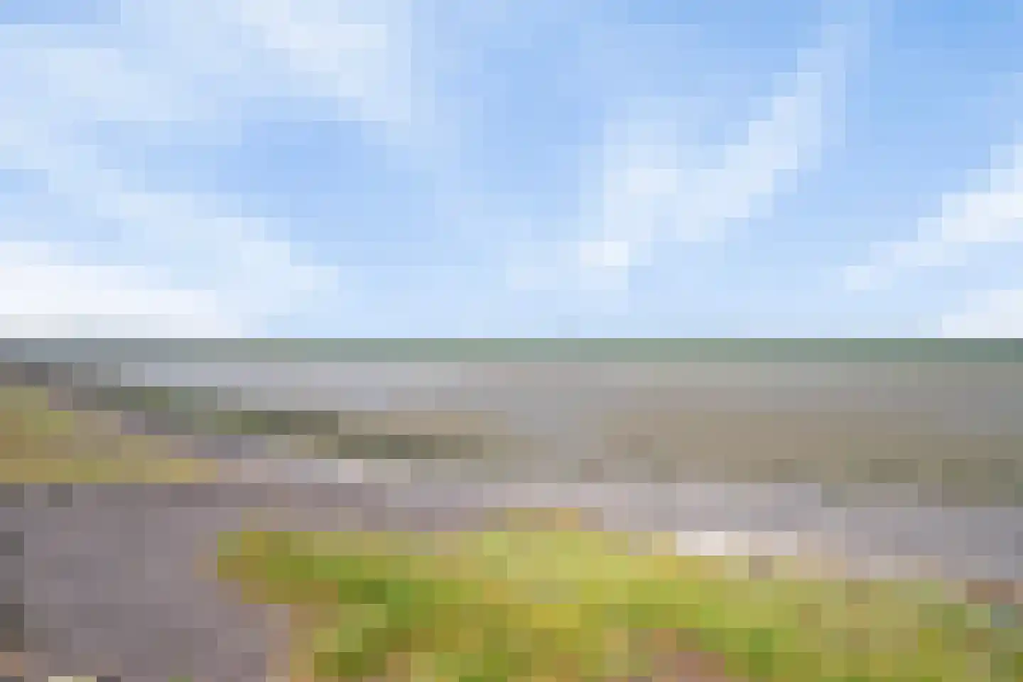 Griete 15 Zaamslag thumbnail 53