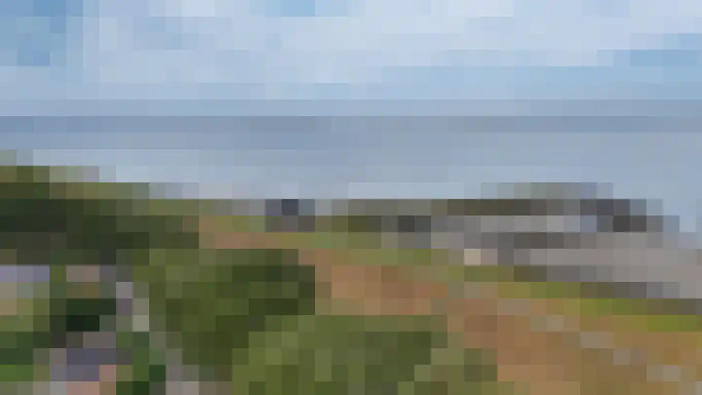 Griete 15 Zaamslag thumbnail 54