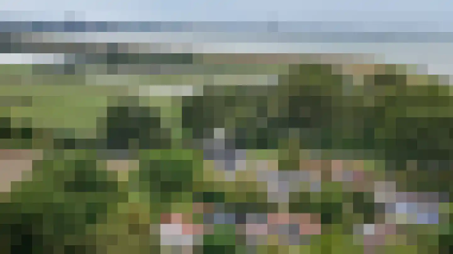Griete 15 Zaamslag thumbnail 55