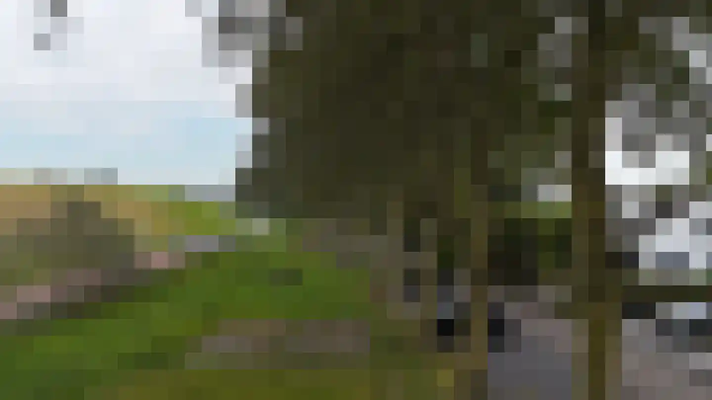 Griete 15 Zaamslag thumbnail 56