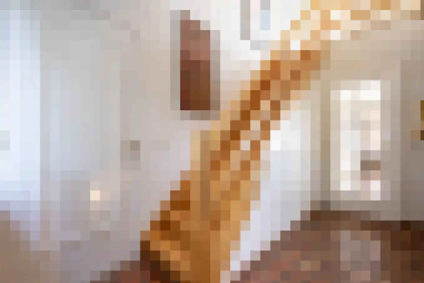 Griete 15 Zaamslag thumbnail 8