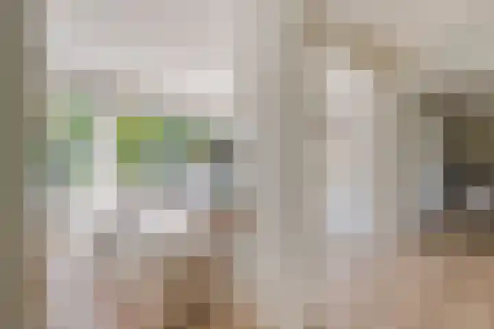 Griete 7 Zaamslag thumbnail 13