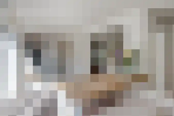Griete 7 Zaamslag thumbnail 14