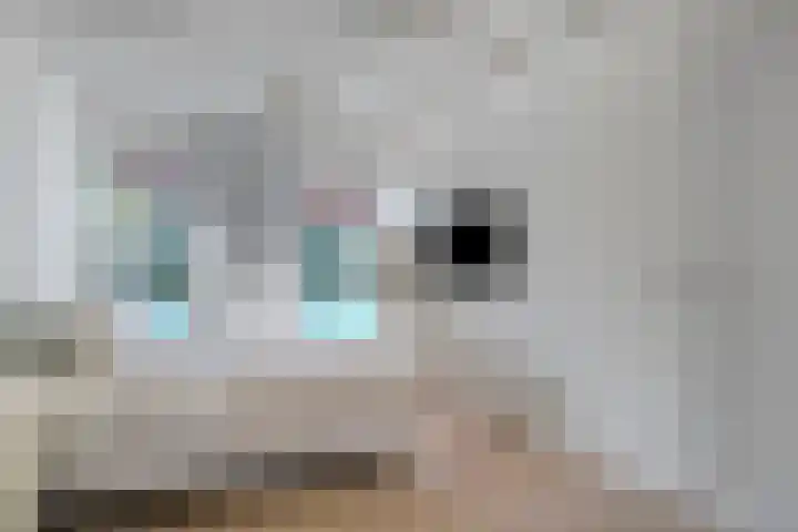 Griete 7 Zaamslag thumbnail 21