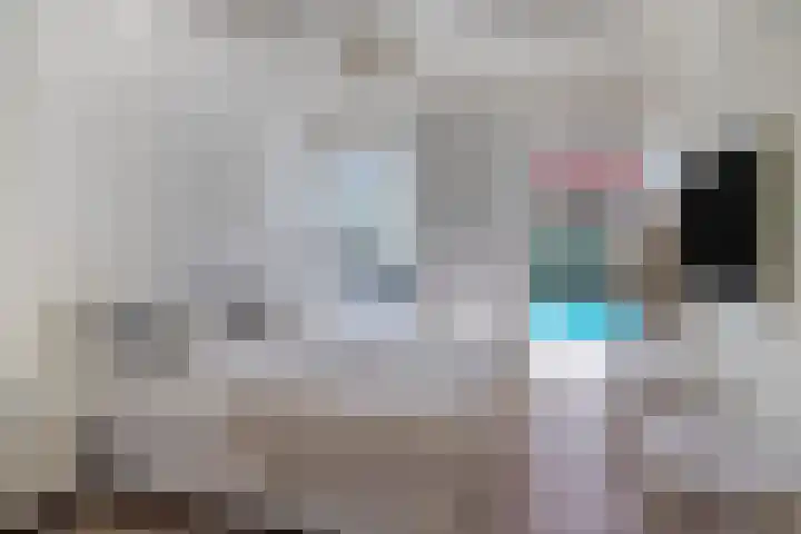 Griete 7 Zaamslag thumbnail 22