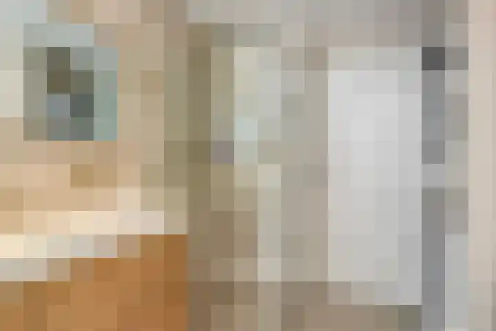 Griete 7 Zaamslag thumbnail 26