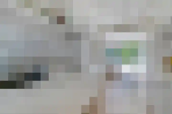 Griete 7 Zaamslag foto 3