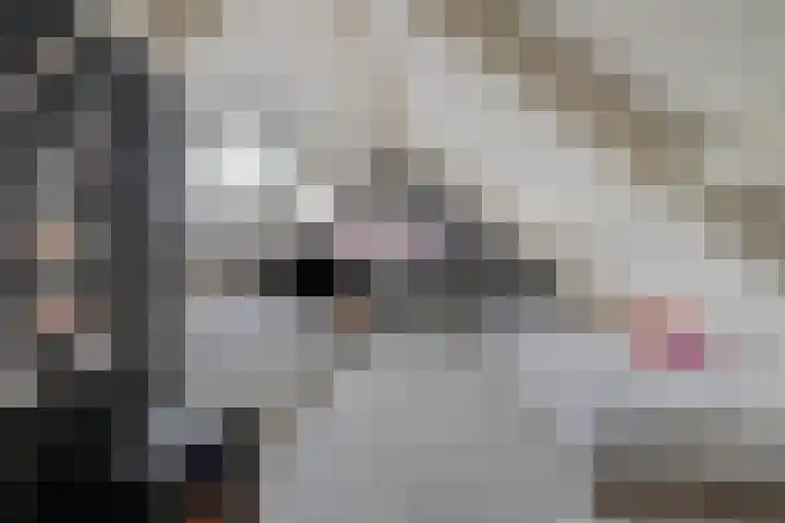 Griete 7 Zaamslag thumbnail 30
