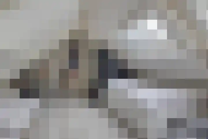 Griete 7 Zaamslag thumbnail 31
