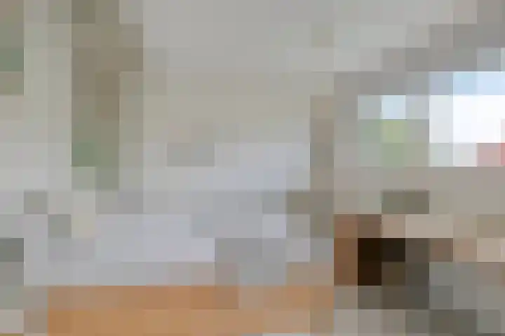 Griete 7 Zaamslag thumbnail 32