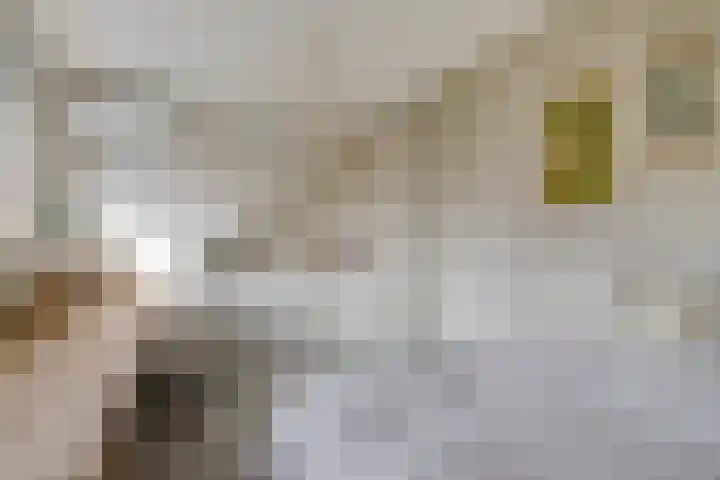 Griete 7 Zaamslag thumbnail 33