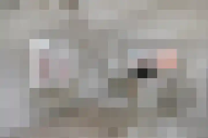 Griete 7 Zaamslag thumbnail 35