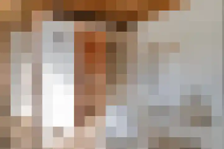 Griete 7 Zaamslag thumbnail 47