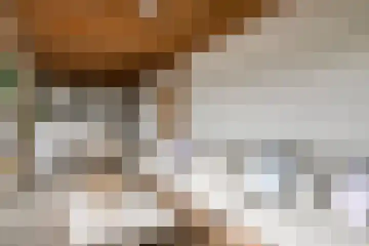 Griete 7 Zaamslag thumbnail 48