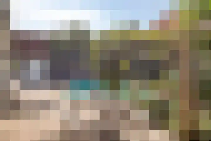 Griete 7 Zaamslag thumbnail 50