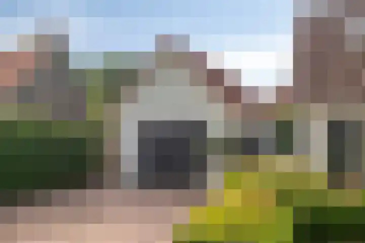 Griete 7 Zaamslag thumbnail 52