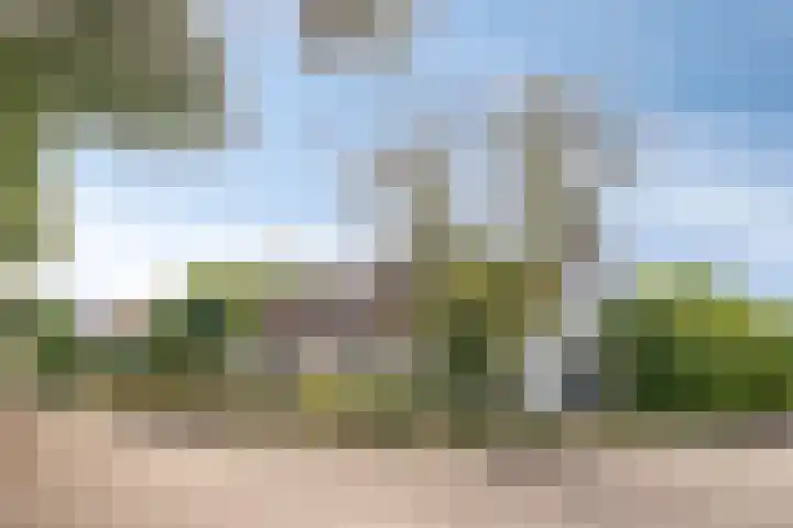 Griete 7 Zaamslag thumbnail 55