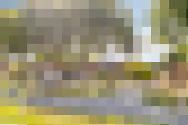 Griete 7 Zaamslag thumbnail 56