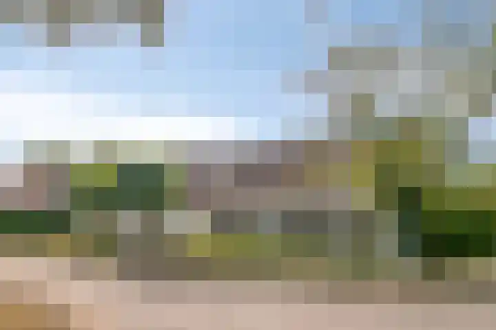 Griete 7 Zaamslag thumbnail 57