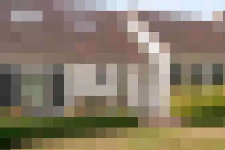 Griete 7 Zaamslag thumbnail 58