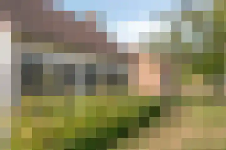 Griete 7 Zaamslag thumbnail 59