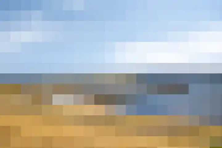 Griete 7 Zaamslag thumbnail 60