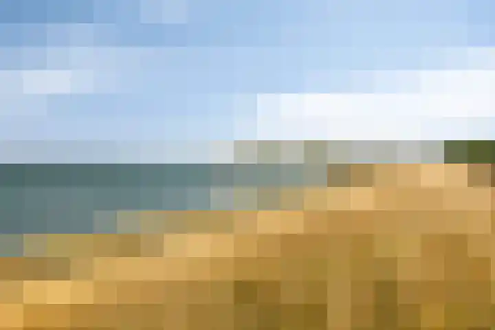 Griete 7 Zaamslag thumbnail 61