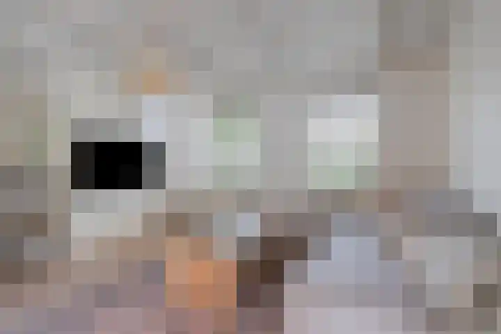 Griete 7 Zaamslag thumbnail 9