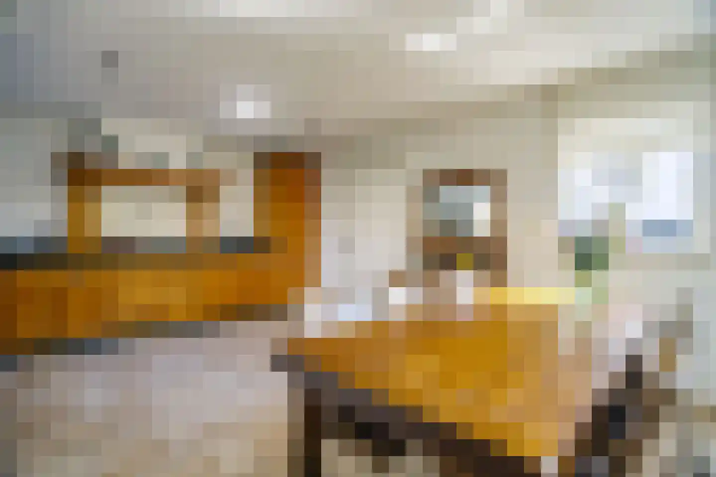 Griete Veldeke 7 Moergestel thumbnail 15
