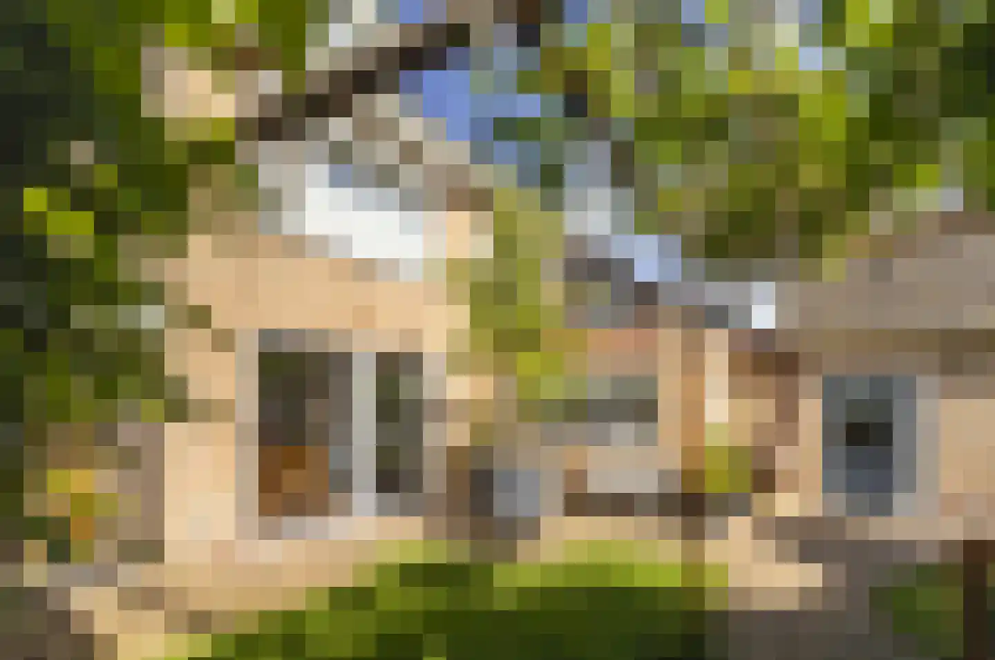 Griete Veldeke 7 Moergestel thumbnail 44