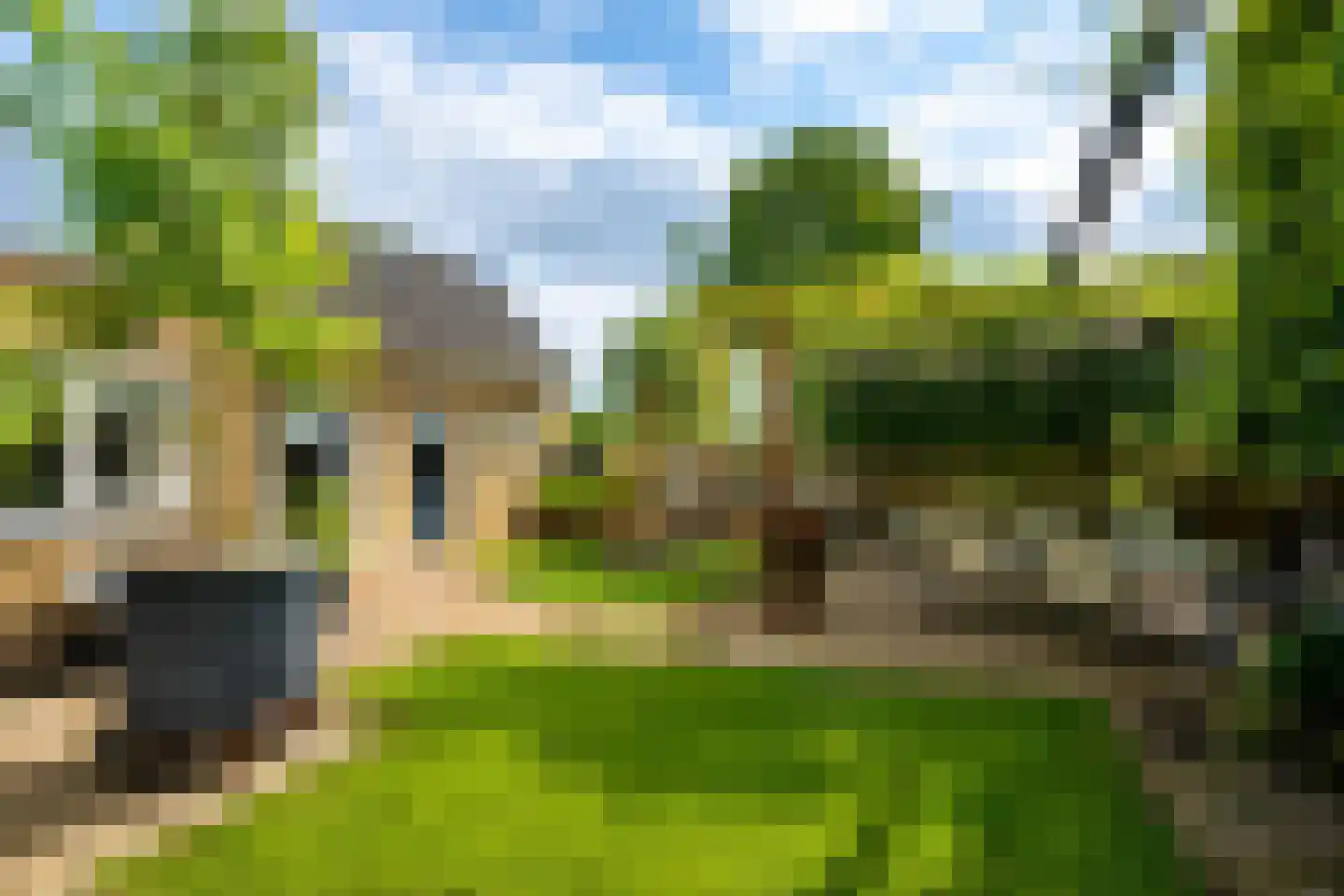 Griete Veldeke 7 Moergestel thumbnail 47
