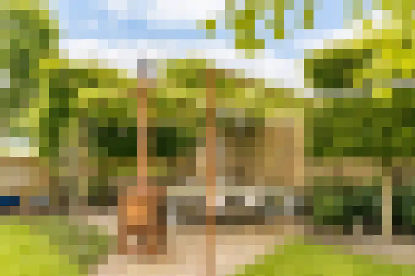 Griete Veldeke 7 Moergestel thumbnail 48