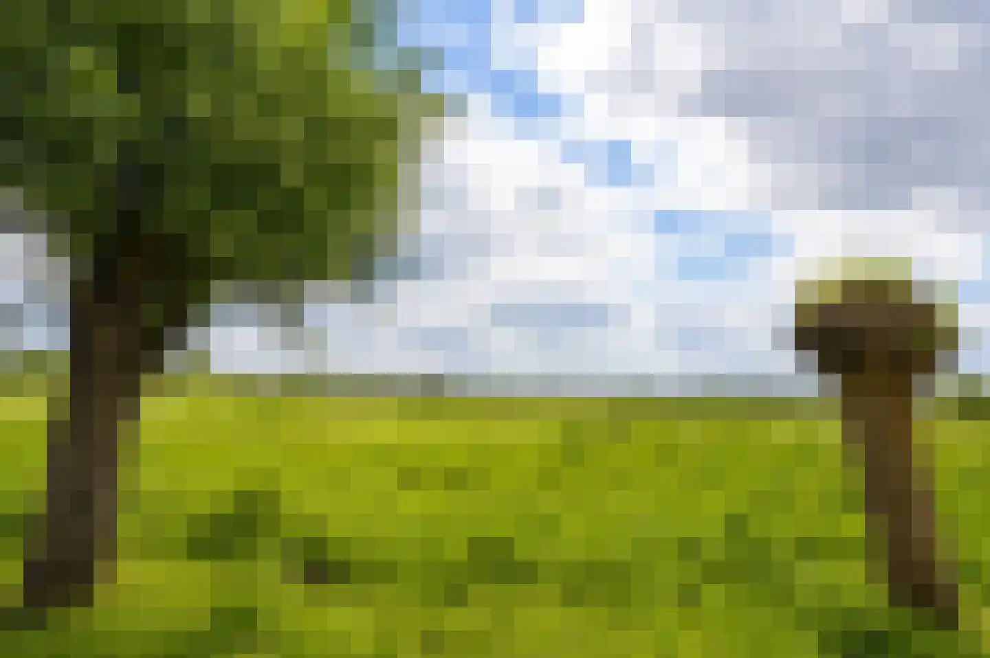 Griete Veldeke 7 Moergestel thumbnail 52