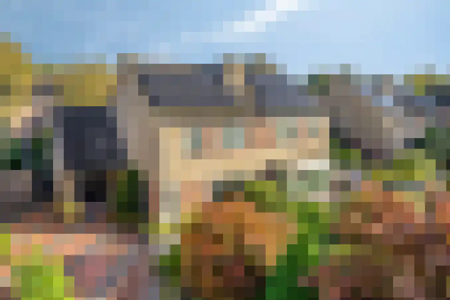 Grietenij 100 in Leek