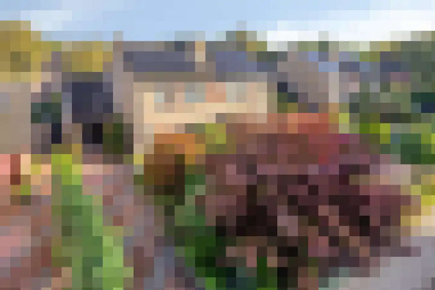 Grietenij 100 Leek thumbnail 10