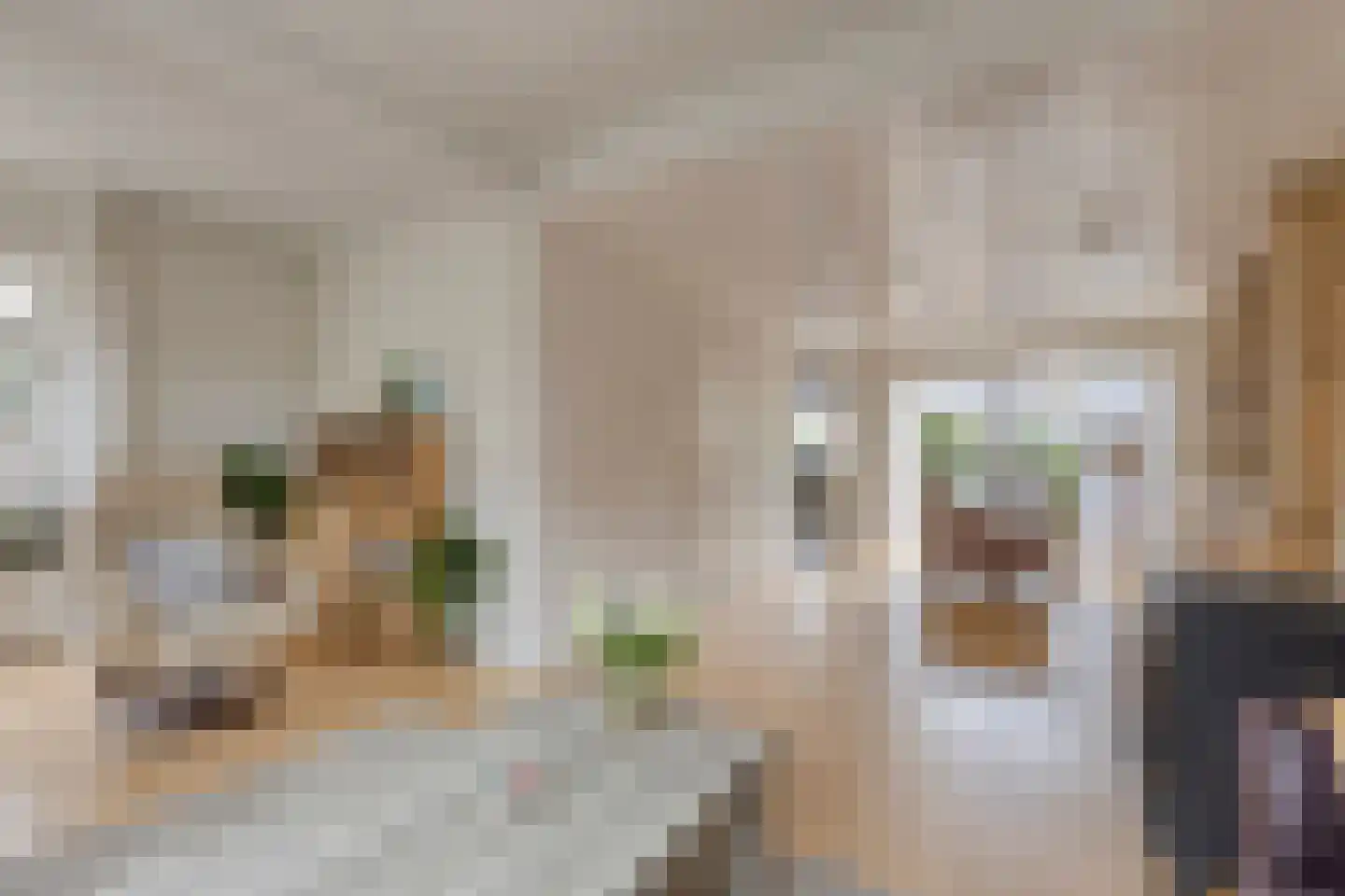 Grietenij 100 Leek thumbnail 16