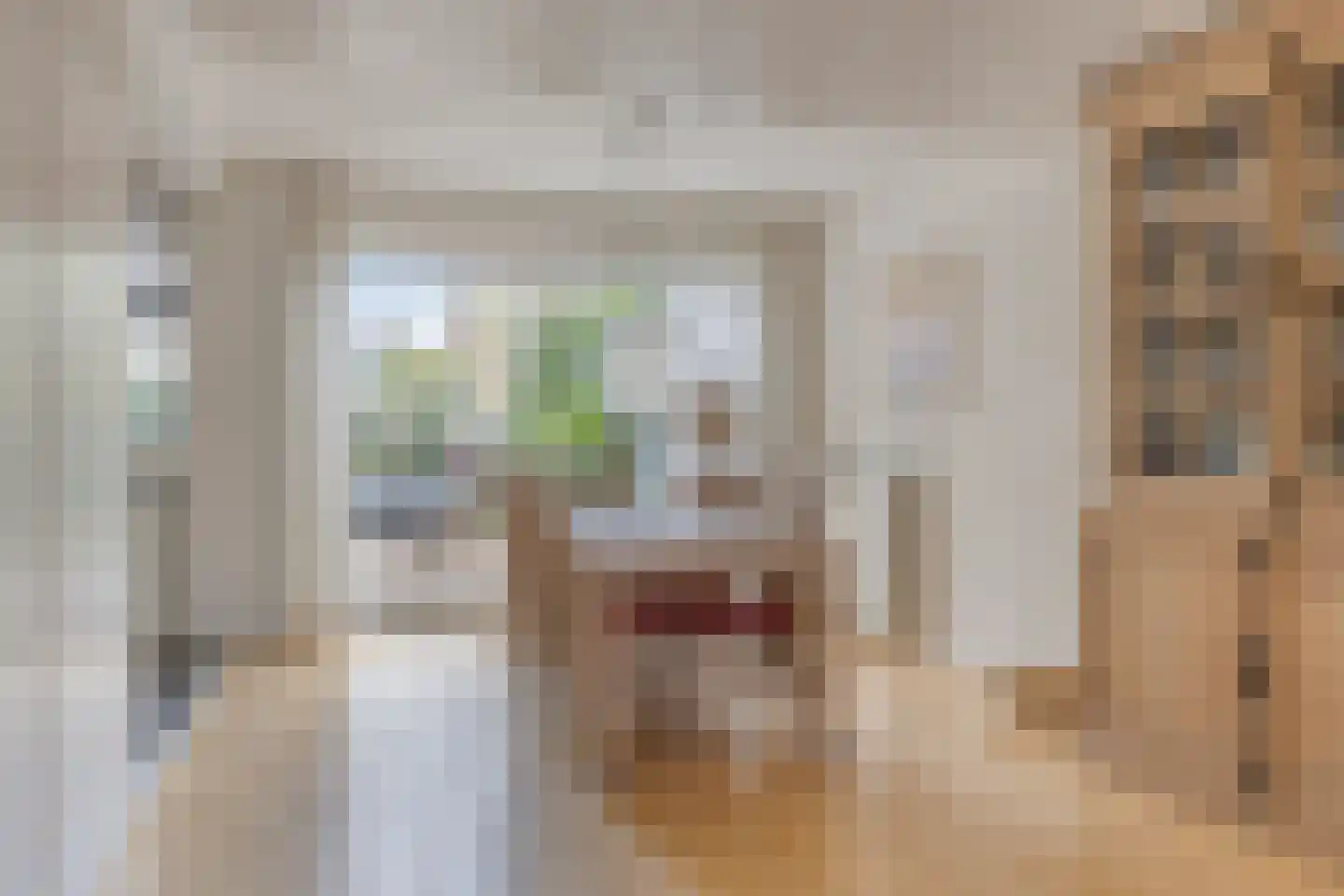 Grietenij 100 Leek thumbnail 17