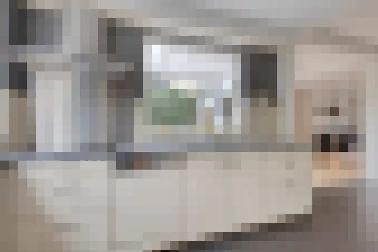 Grietenij 100 Leek thumbnail 19
