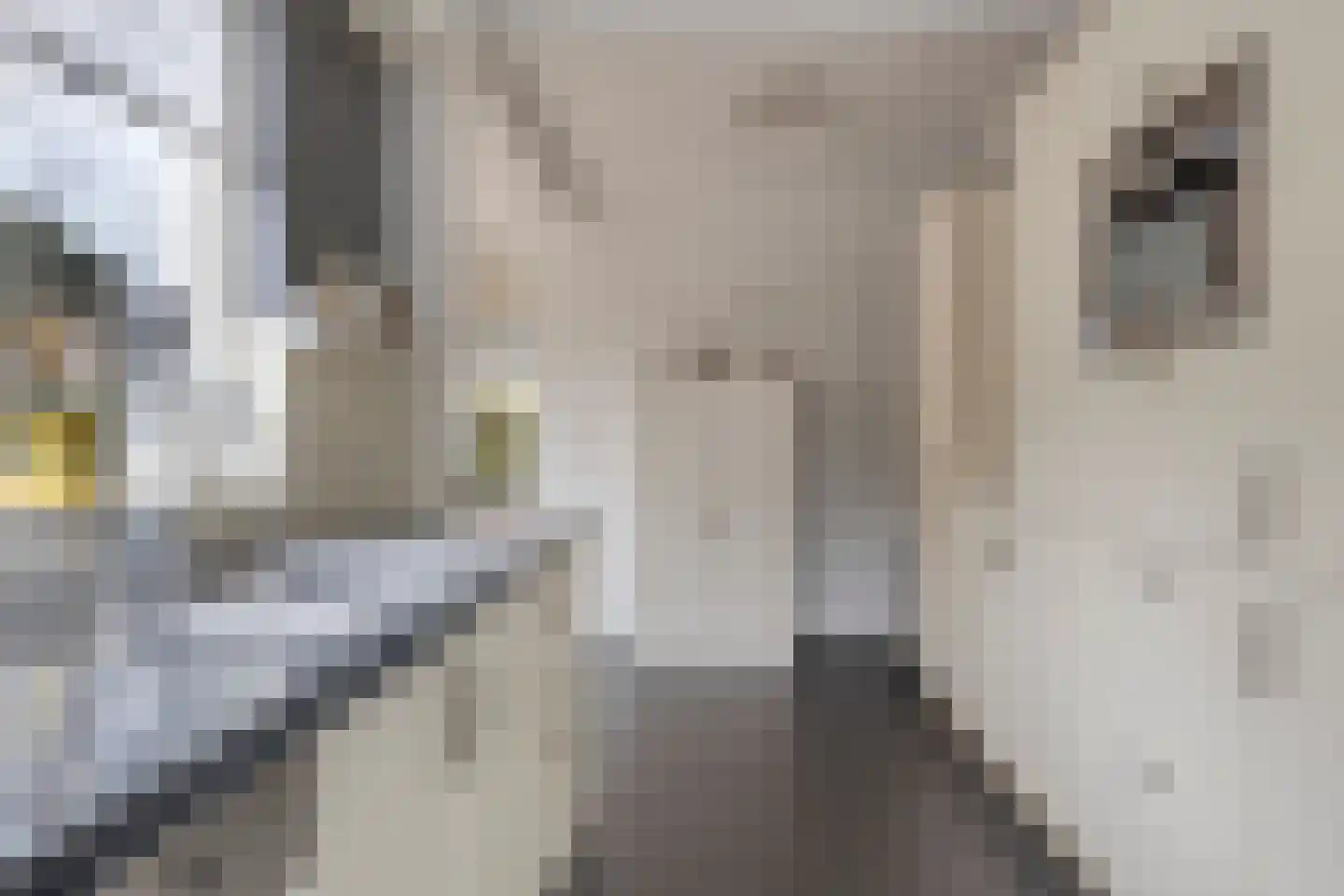 Grietenij 100 Leek thumbnail 20