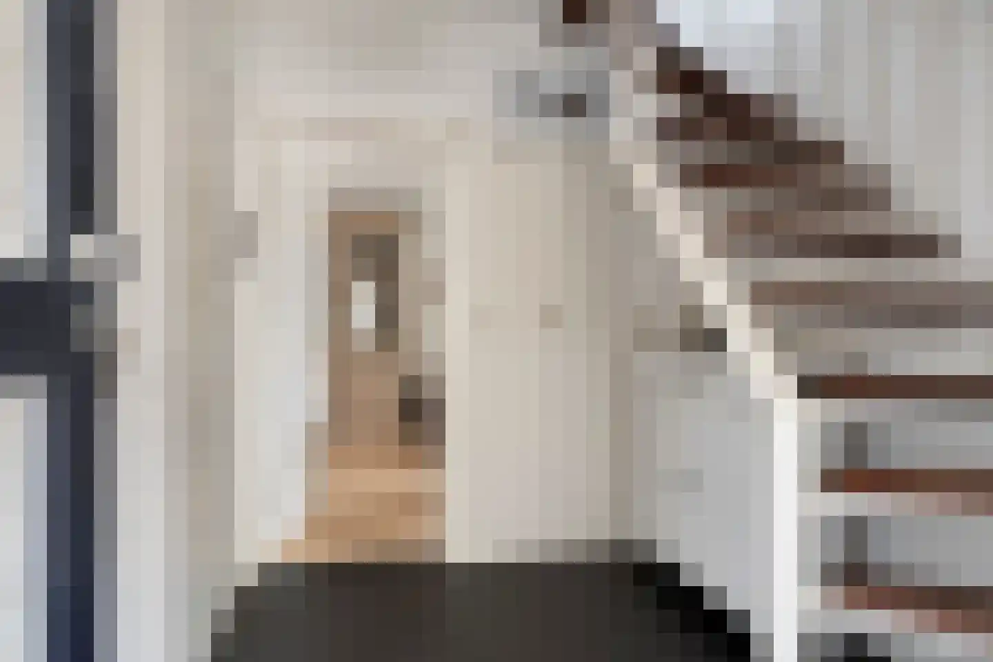 Grietenij 100 Leek thumbnail 25