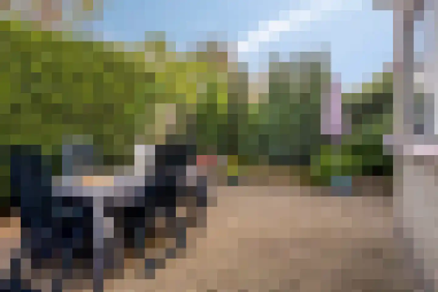 Grietenij 100 Leek thumbnail 40