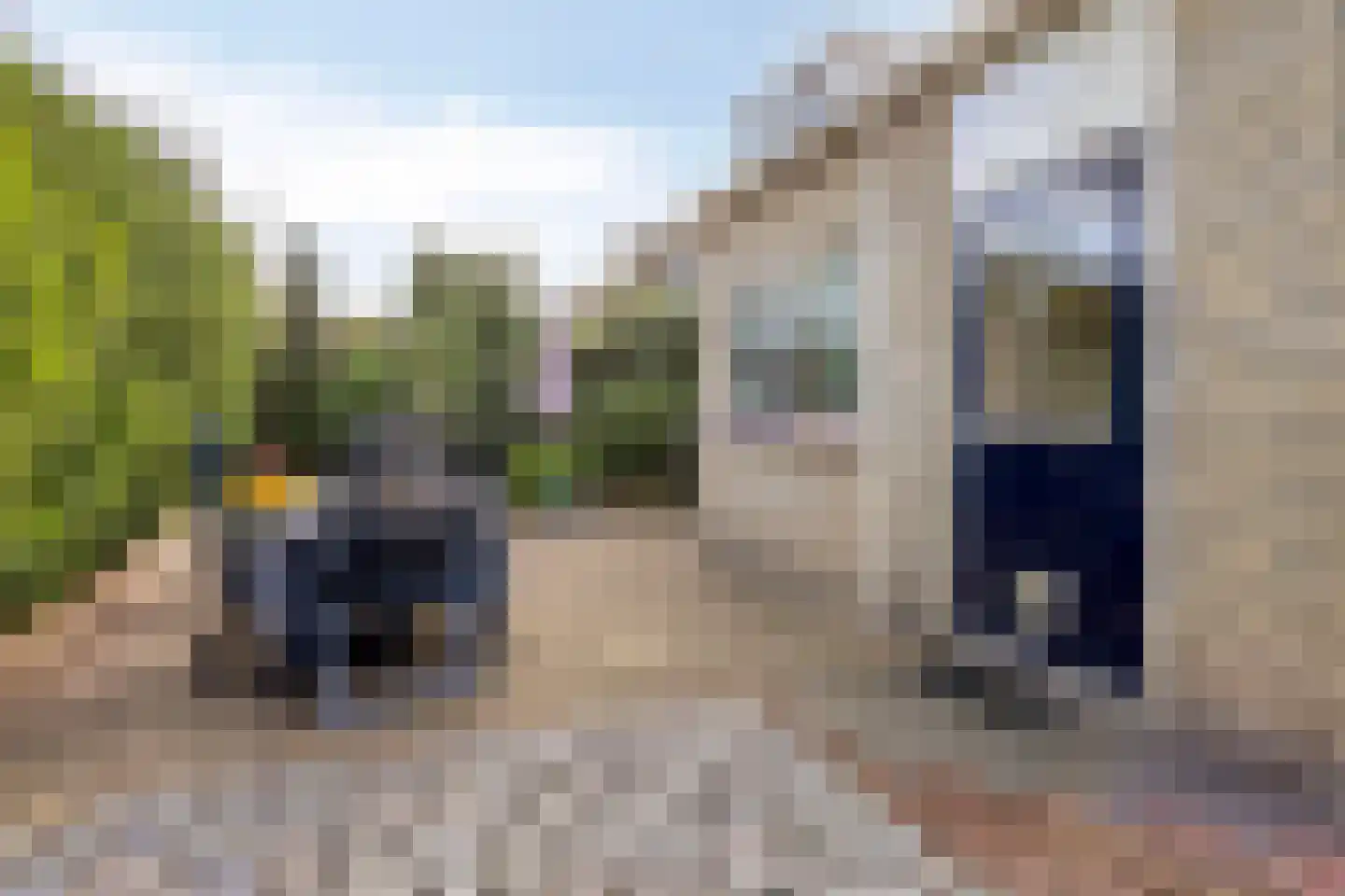 Grietenij 100 Leek thumbnail 41