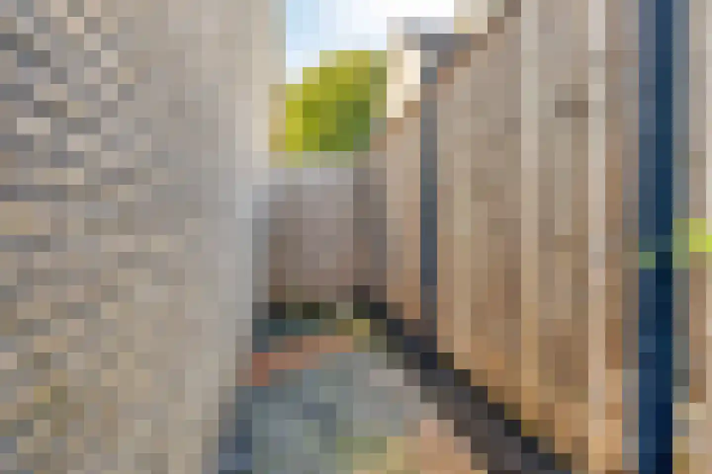 Grietenij 100 Leek thumbnail 43