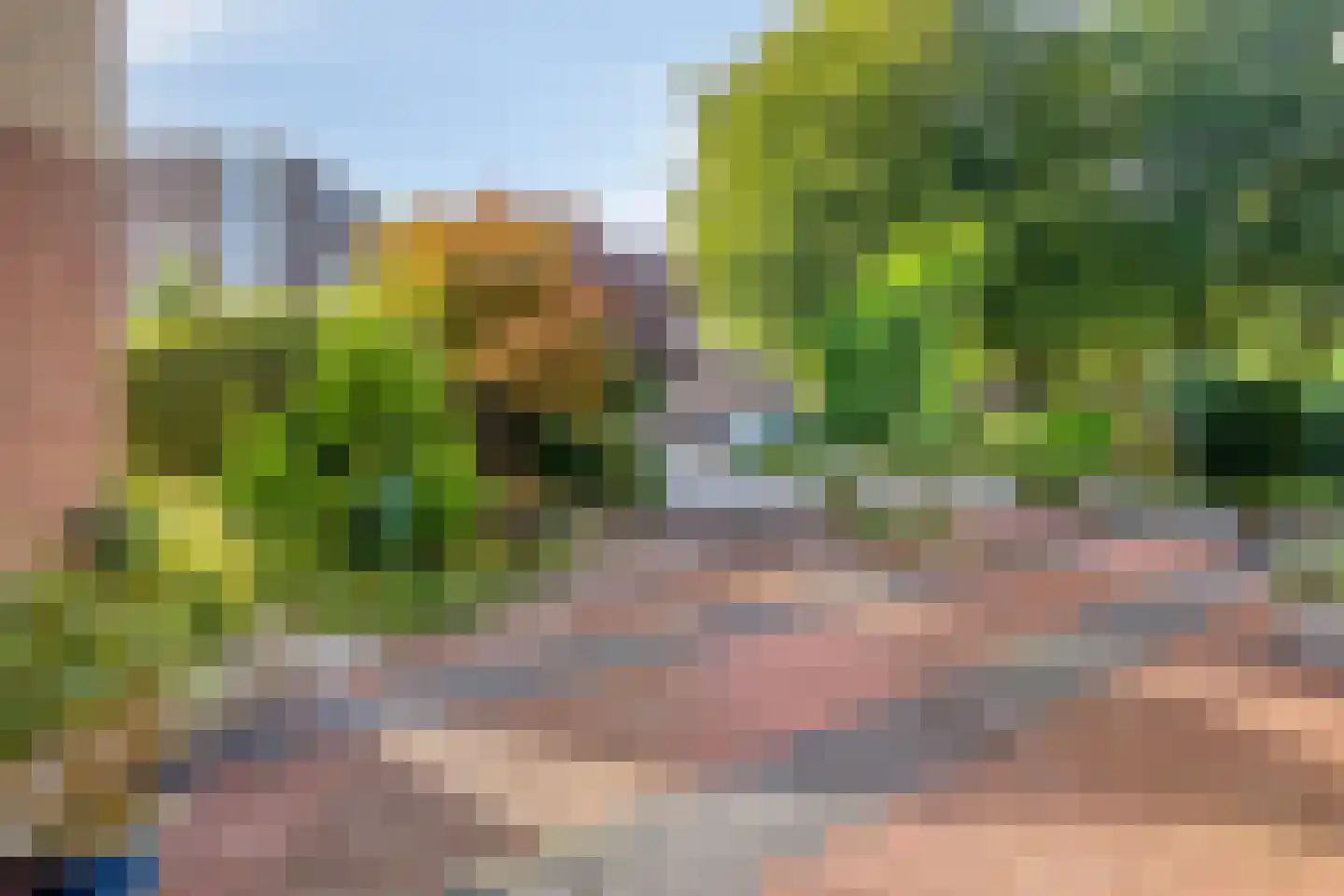 Grietenij 100 Leek thumbnail 44