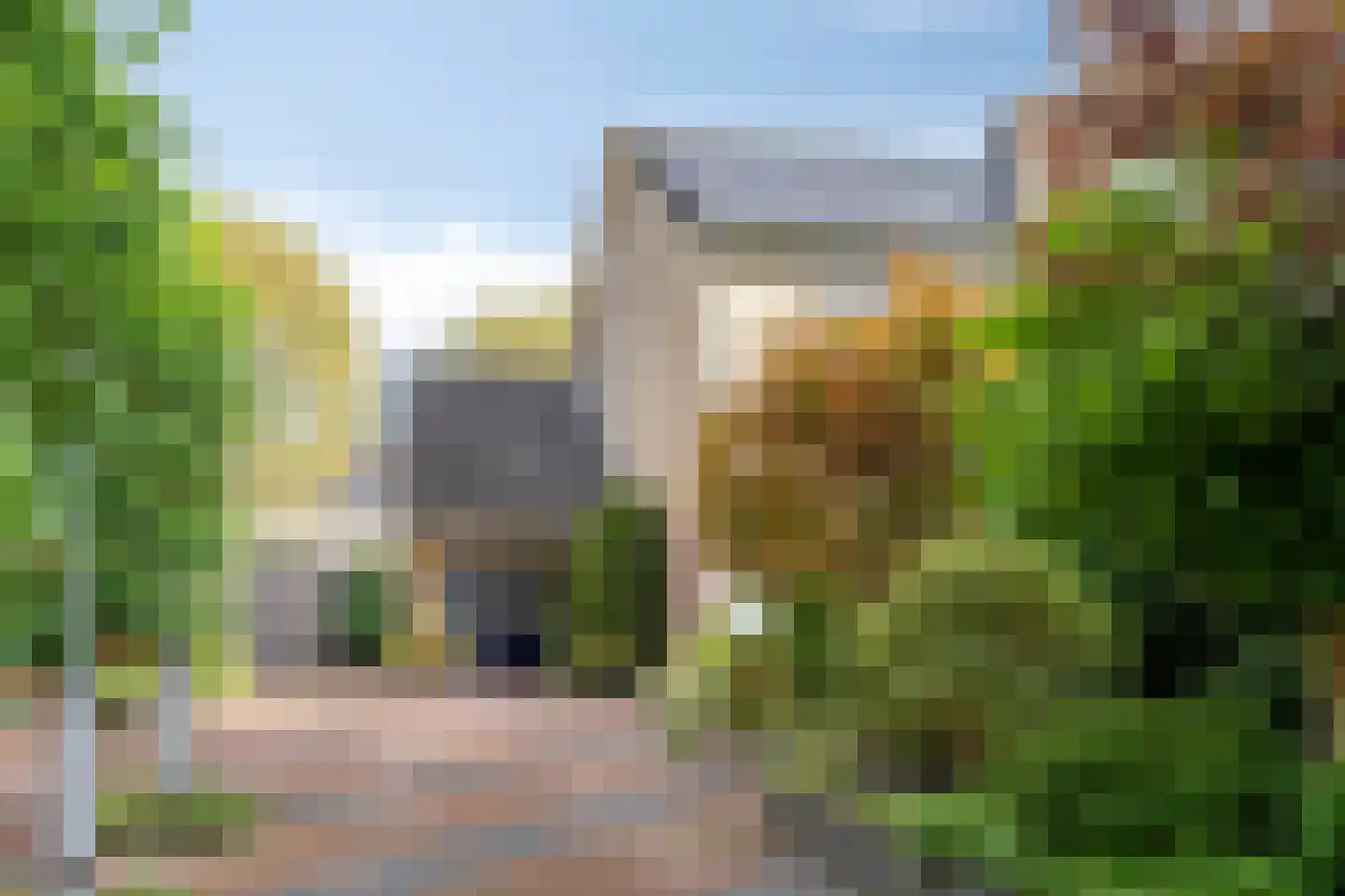 Grietenij 100 Leek thumbnail 45